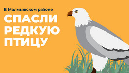 В Малмыжском районе мужчина спас краснокнижную птицу степного луня
