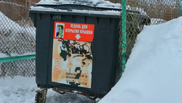 В Кирове изменился график вывоза мусора с территории школ и детсадов