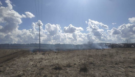 В Кировской области зафиксировали первый ландшафтный пожар