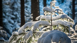 В Киров придут сильные снегопады