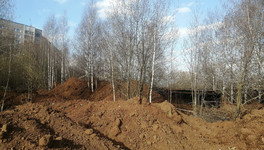 Кировчане жалуются на снос деревьев на территории КВАТУ