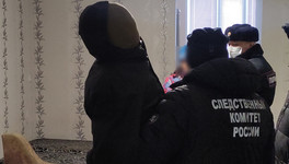 Жительнице Вятских Полян за убийство сожителя дали 8,5 года колонии общего режима