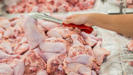 Антимонопольщики проверят обоснованность высоких цен на птичье мясо