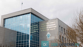 Бастрыкин потребовал доклад по делу о недоступности медицины в Лузе
