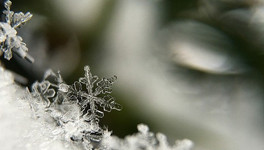 В Кировской области объявили метеопредупреждение из-за аномальных холодов
