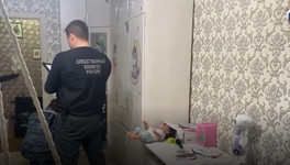 13-летнюю девочку подозревают в убийстве младших сестер в Тольятти