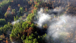 Тушить лесные пожары в Кировской области готовы более семи тысяч человек