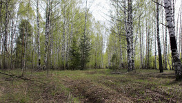 Житель Мурашинского района украл 12 дорожных плит и лишился за это грузовика