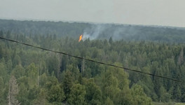 В Кировской области потушили ландшафтный пожар