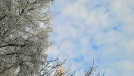 В январе будет холоднее нормы: метеорологи-любители дали прогноз