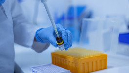Новый штамм коронавируса из Южной Африки впервые был выявлен в Чехии и Германии