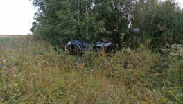 Пьяный водитель из Санчурска получил пять лет за смертельное ДТП