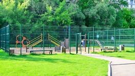 В Кирове появятся места для собак