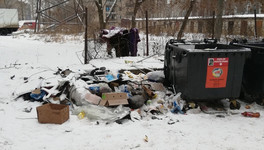 Кировчанин хочет через суд отменить плату за мусор с «квадрата»