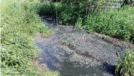 В селе Кырчаны земельный участок загрязнили канализационными стоками