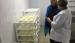 В Кировской области открылась ещё одна сыроварня