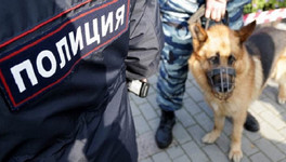 В Котельниче собака нашла пропавшего 8-летнего мальчика