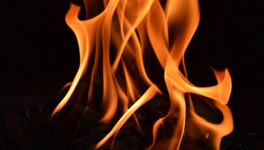 При пожаре в Лузском районе погибла престарелая женщина