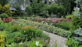 Ботанический сад в Кирове откроют для посетителей 10 мая