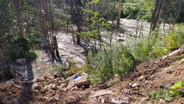 Забетонированный лес в Чистых Прудах заваливают строительными отходами