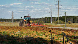 В Кировской области приступили к уборке урожая зерновых и зернобобовых культур