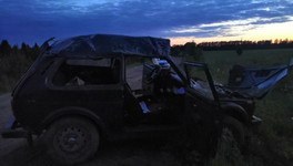 В ДТП в Зуевском районе погиб водитель-бесправник