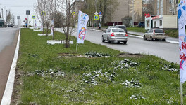 Микрорайон Радужный украшают флагами 650-летия Кирова