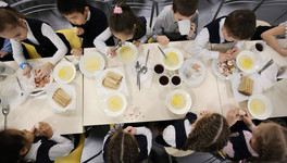 В Кирове предложили реформировать систему школьного питания
