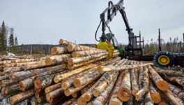 В Кировской области поставщики топлива и дров резко подняли цены