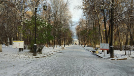 Погода в Кирове. К концу недели потеплеет