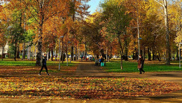 Администрация Кирова не может найти деньги на благоустройство парка Гагарина