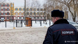 В Госдуме призвали пересмотреть систему охраны школ