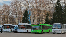 Кировчан повезут в Пермь на автобусах