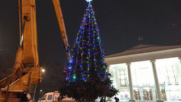 В Кирове у филармонии установили новогоднюю ель