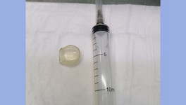 Кировские ветеринары извлекли пустышку из кишечника щенка