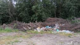 Проблемой «лесных» свалок в Кировской области займётся специальная группа