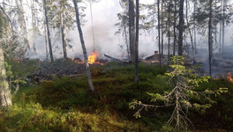 В Котельничском районе авиапатруль обнаружил лесной пожар