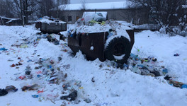 «Куприт» объяснил мусорный коллапс в посёлке Затон