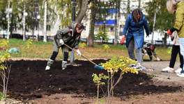 Дендропарк с яблонями, розами и клёнами: кировские энергетики высадили в Музыкальном сквере около 100 деревьев