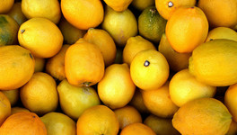 Кировчанам разрешили съесть заражённые лимоны