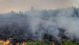 В Кировской области объявили 4 класс пожарной опасности