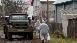 У жителей Зуевского района изымают домашнюю птицу в связи с птичьим гриппом