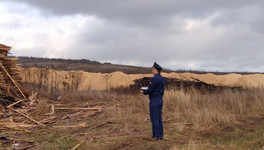 В Лузском районе арендатор земли вел незаконную деятельность