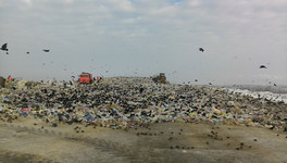 В Кировской области закрыли четыре мусорных полигона