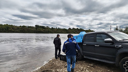 В реки Кировской области выпустили 80 тысяч мальков стерляди