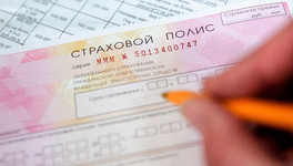 В России приняли закон об однодневных полисах ОСАГО