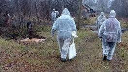 В 10 районах Кировской области ввели режим ЧС из-за птичьего гриппа