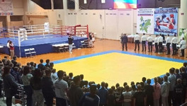 В региональном турнире по кикбоксингу поучаствовали 200 спортсменов из Кировской области