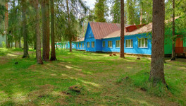 В 2023 году в лагерях Кировской области отдохнули более 50 тысяч школьников