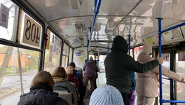 В Госдуме предложили ввести бесплатный проезд для беременных в общественном транспорте